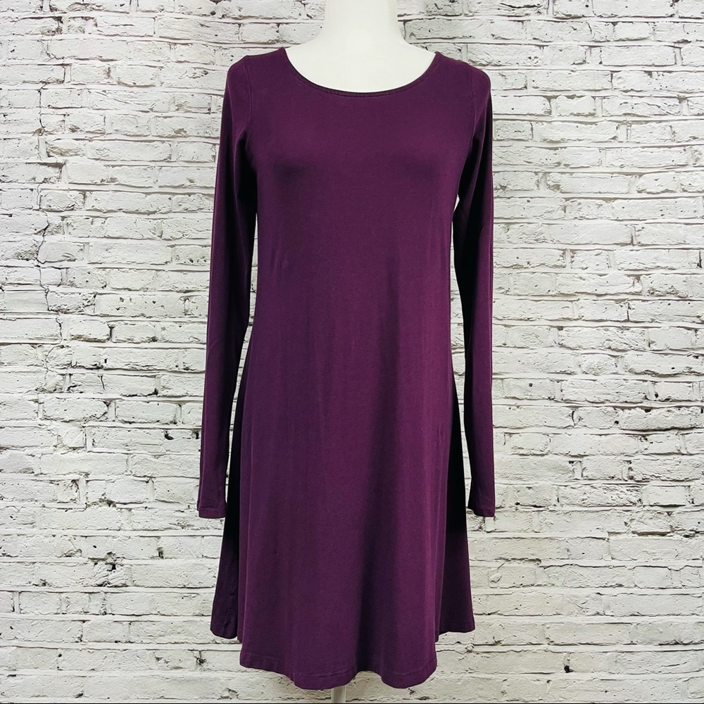 Express A-Line Plum Dress